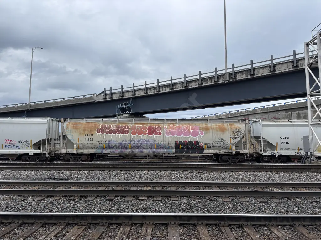 CRDX11831 - NORTH-AMERICA