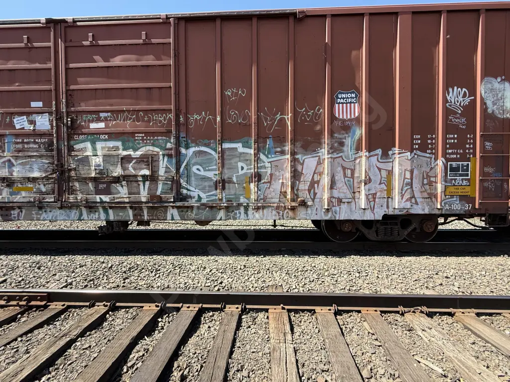 UP369149 - NORTH-AMERICA