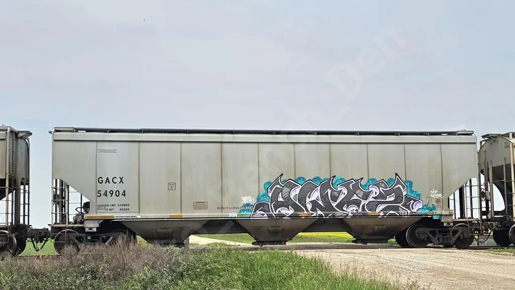 GACX54904 - NORTH-AMERICA
