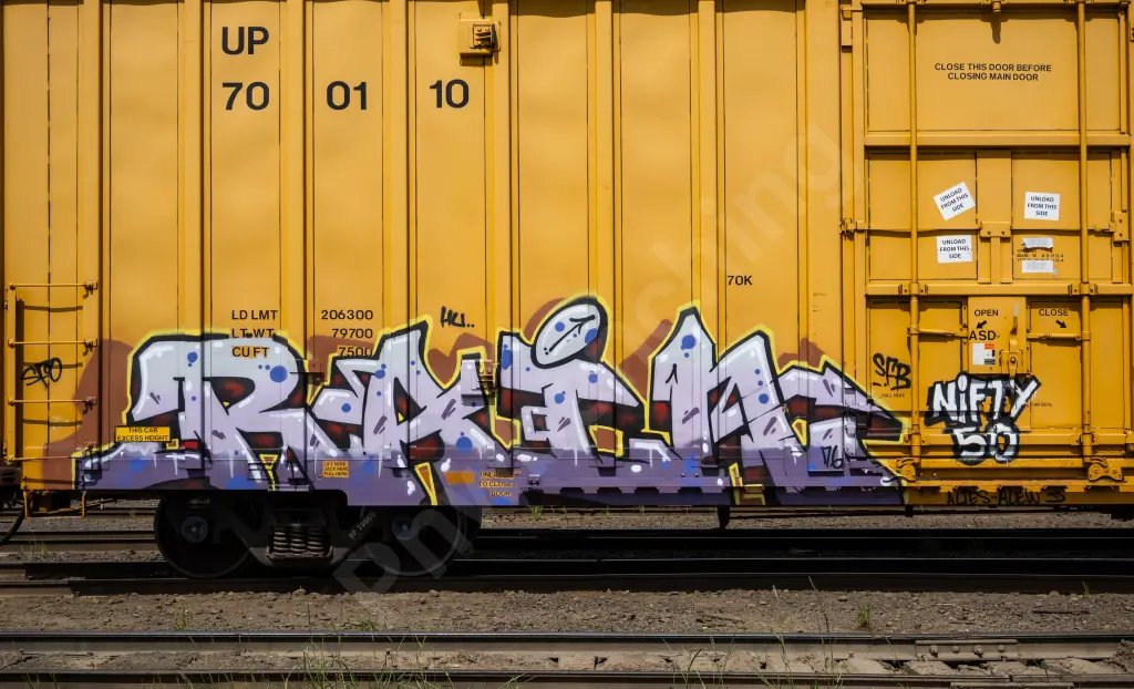UP700110 - NORTH-AMERICA