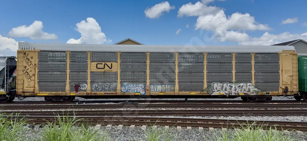 CN711951 - NORTH-AMERICA