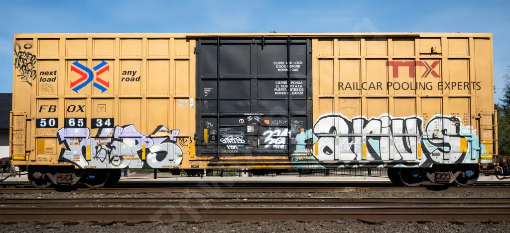 FBOX506534