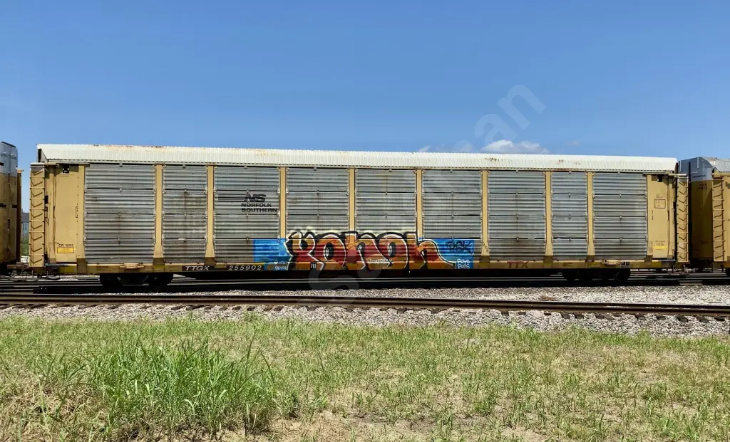 TTGX255902 - NORTH-AMERICA