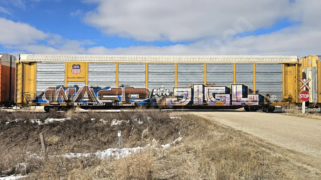 TTGX975568 - NORTH-AMERICA