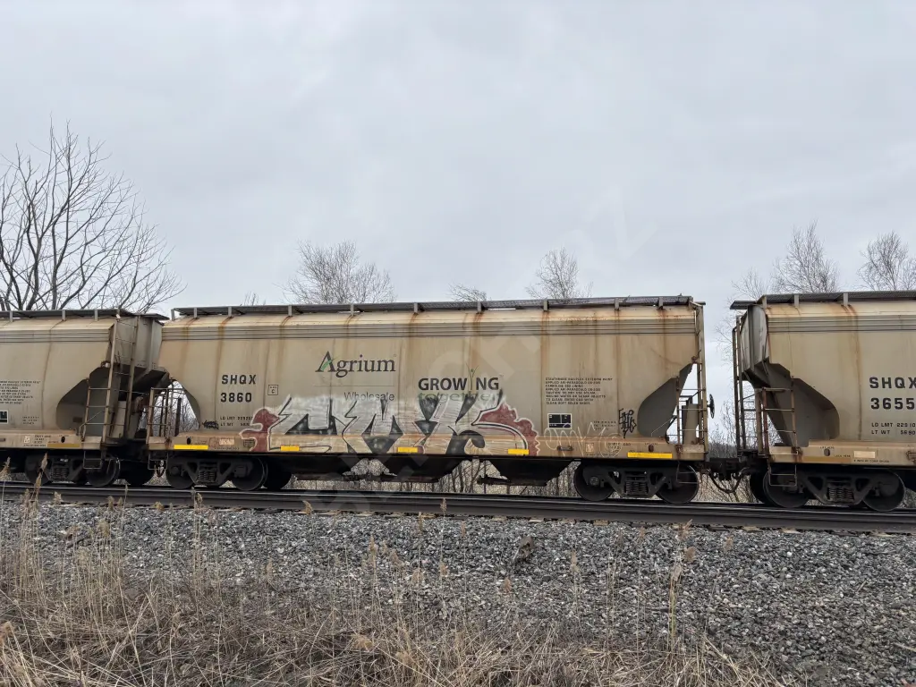 SHQX3860 - NORTH-AMERICA