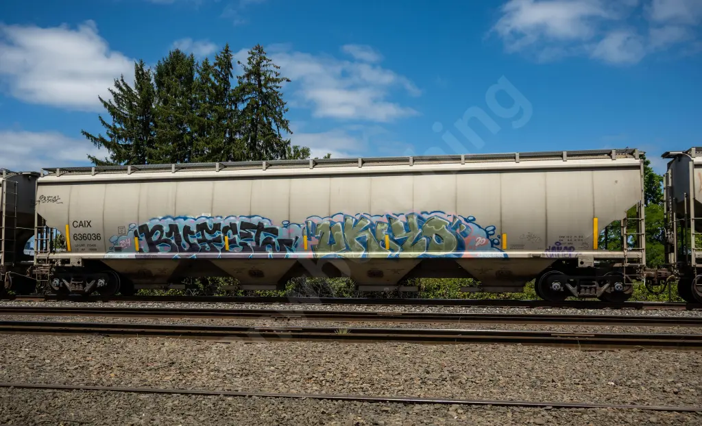 CAIX636036 - NORTH-AMERICA