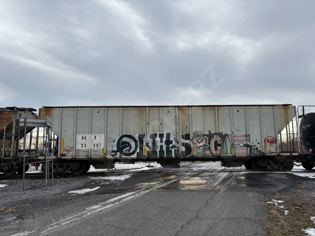 AEX25501 - NORTH-AMERICA