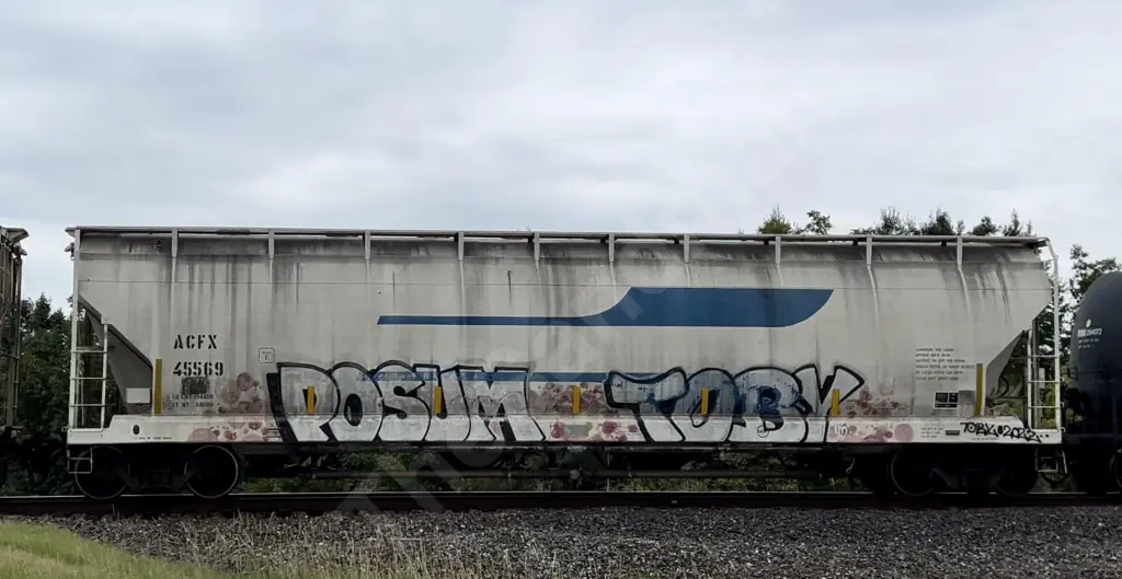 ACFX45569 - NORTH-AMERICA