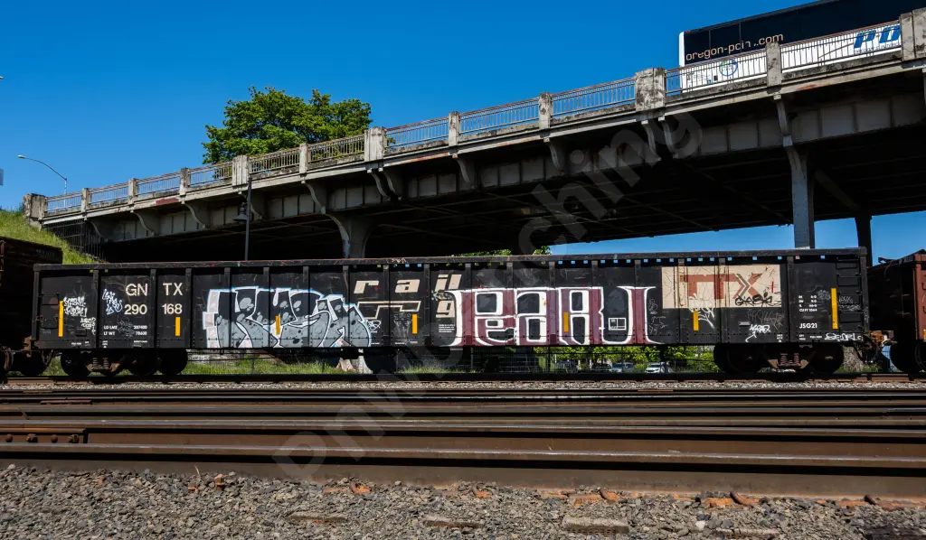 GNTX290168 - NORTH-AMERICA