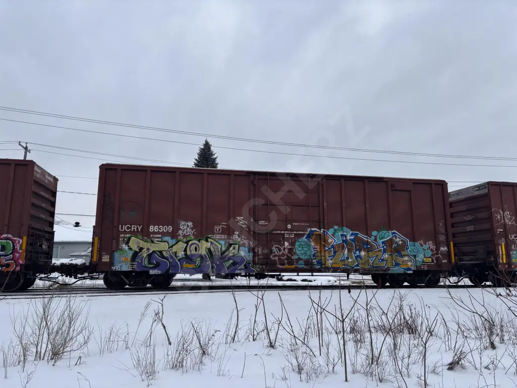UCRY86309 - NORTH-AMERICA