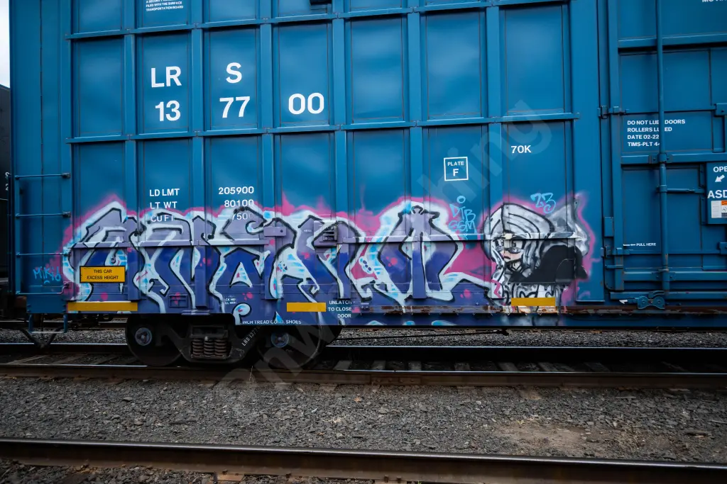 LRS137700 - NORTH-AMERICA