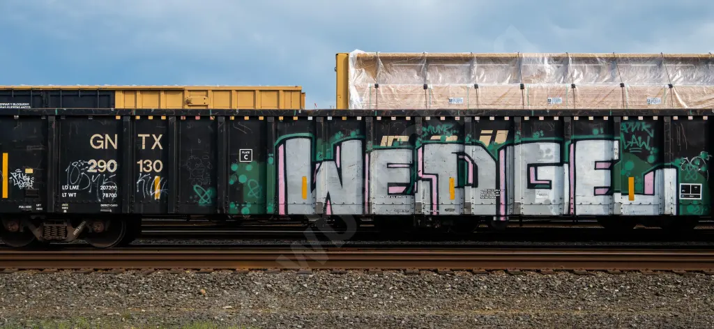 GNTX290130 - NORTH-AMERICA