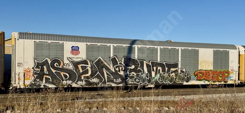 UP801012 - NORTH-AMERICA