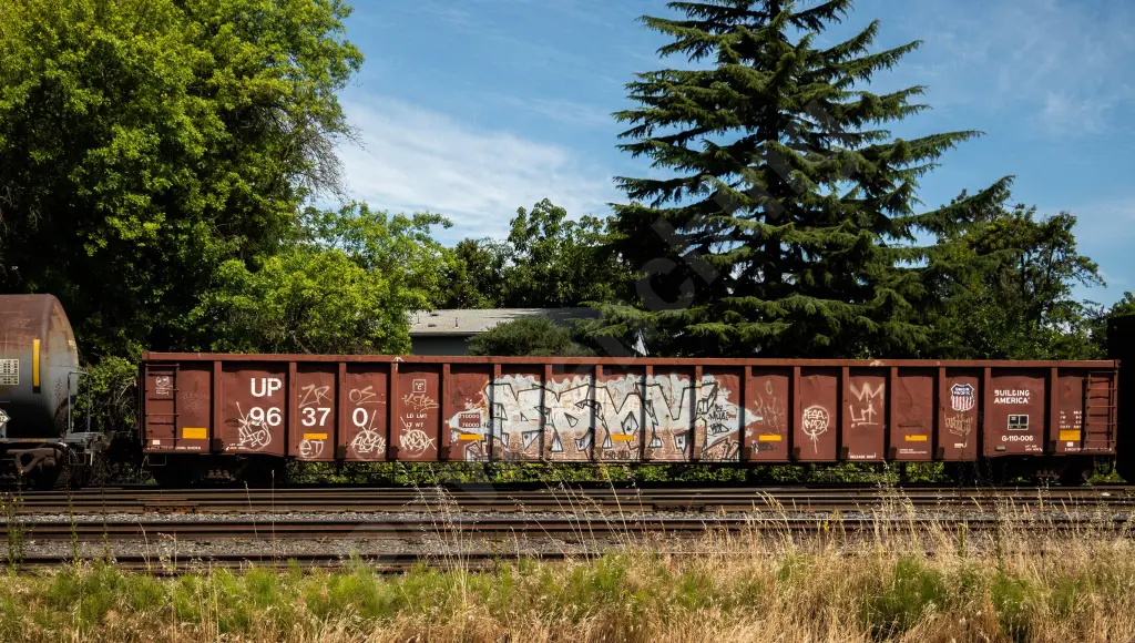 UP96370 - NORTH-AMERICA