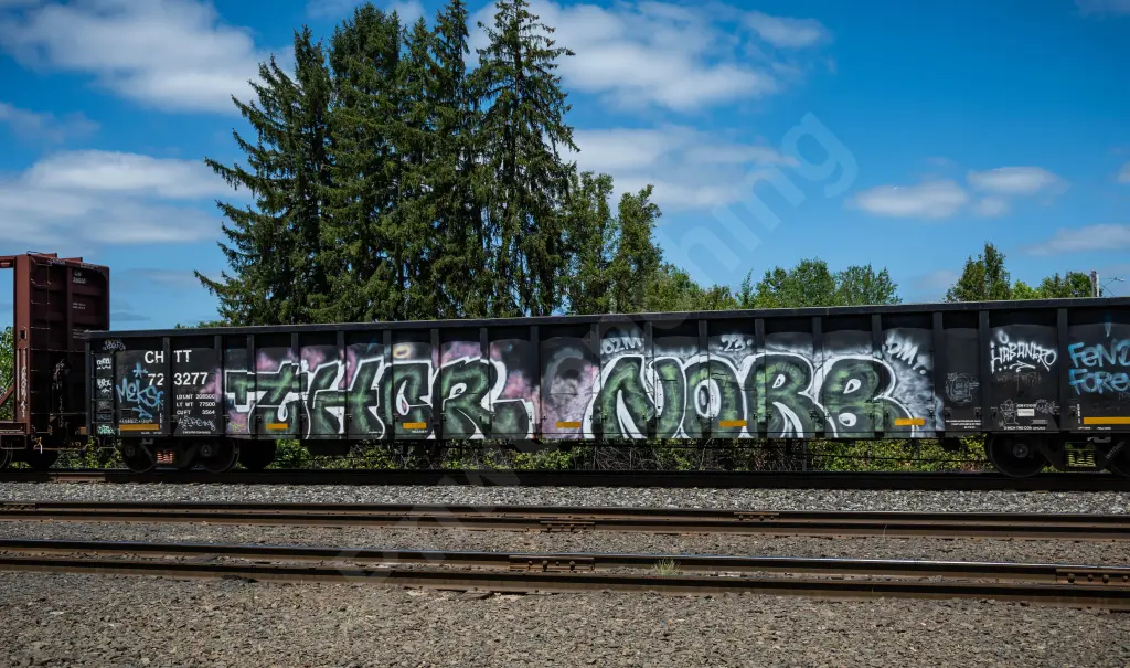 CHTT723277 - NORTH-AMERICA