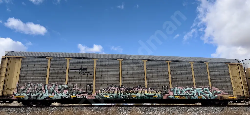 TTGX985729 - NORTH-AMERICA