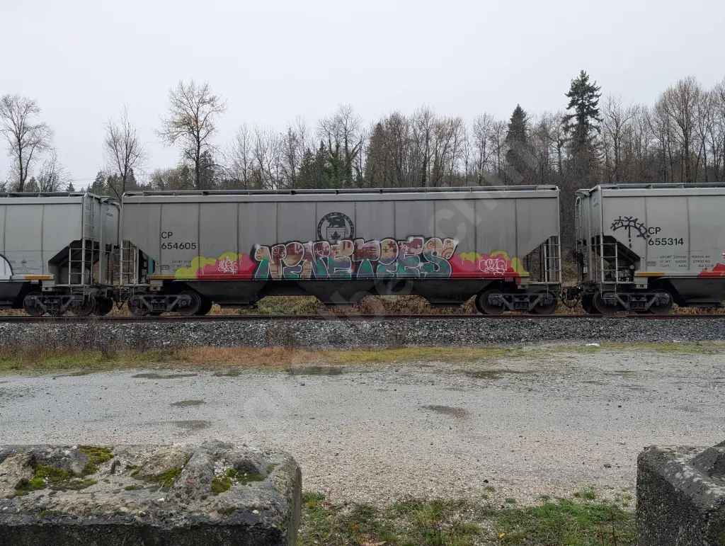 CP654605 - NORTH-AMERICA