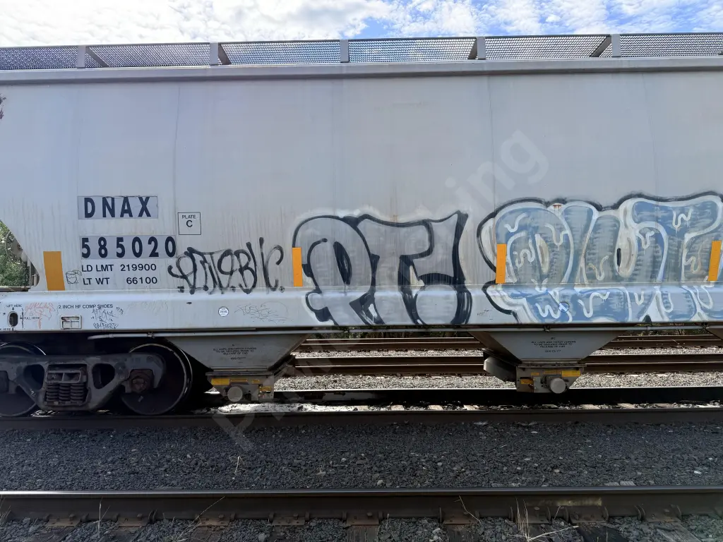 DNAX585020 - NORTH-AMERICA