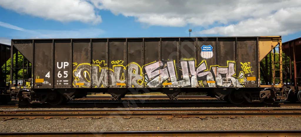 UP46541 - NORTH-AMERICA