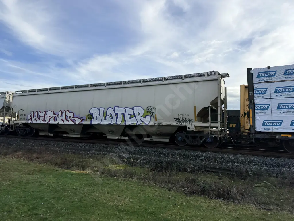 CAIX636013 - NORTH-AMERICA