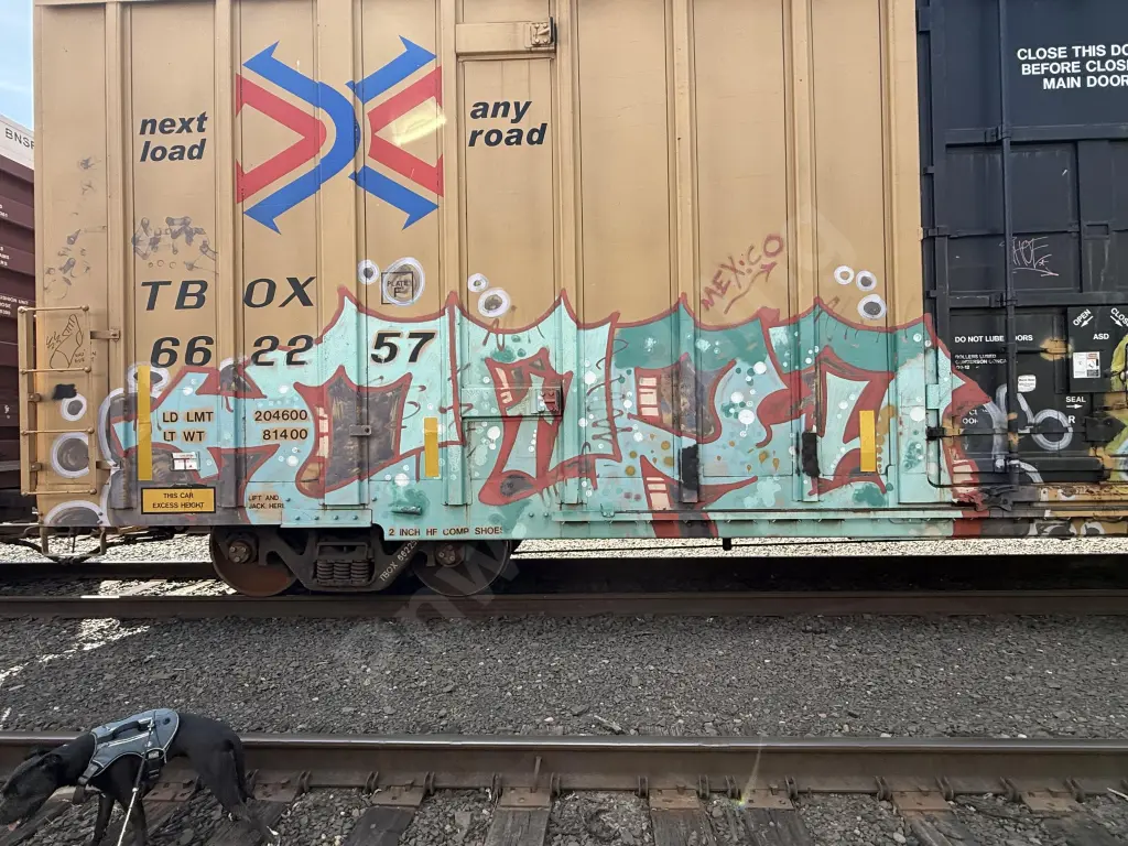 TBOX662257 - NORTH-AMERICA
