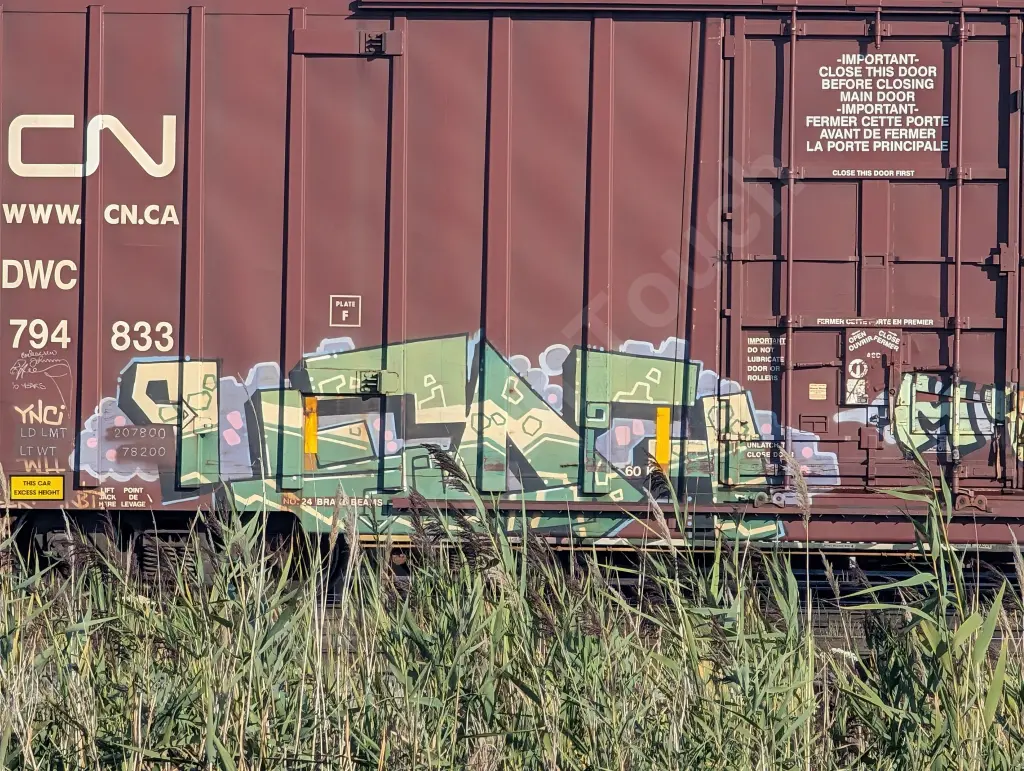 DWC794833 - NORTH-AMERICA
