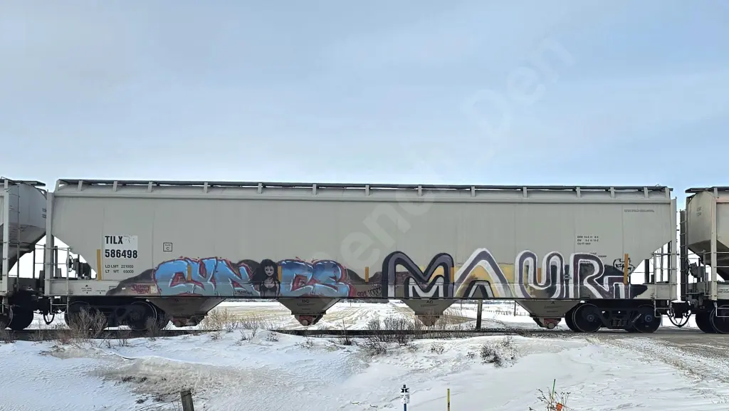 TILX586498 - NORTH-AMERICA