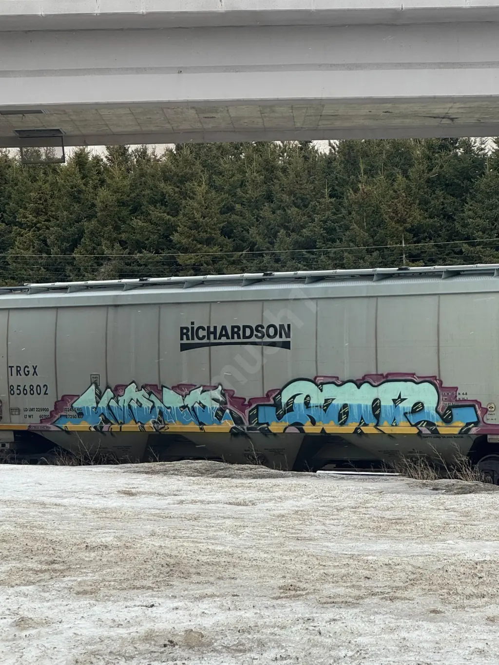 TRGX856802 - NORTH-AMERICA
