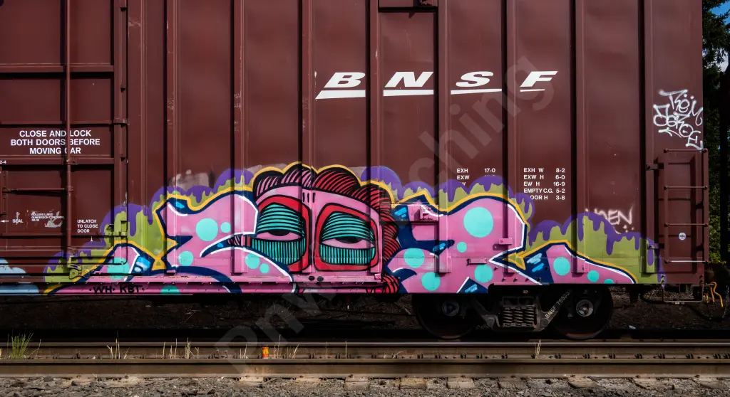 BNSF763036 - NORTH-AMERICA