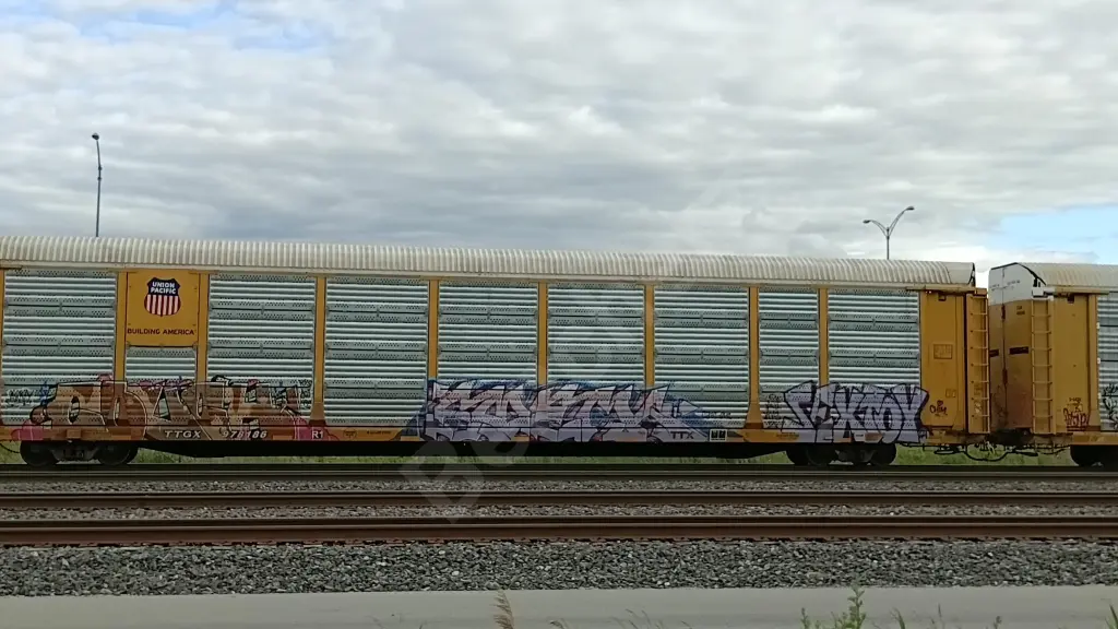TTGX978186 - NORTH-AMERICA