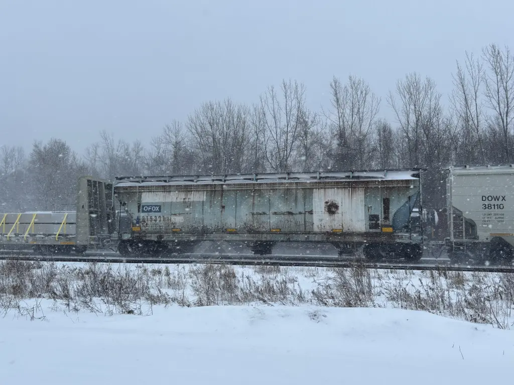 OFOX815321 - NORTH-AMERICA