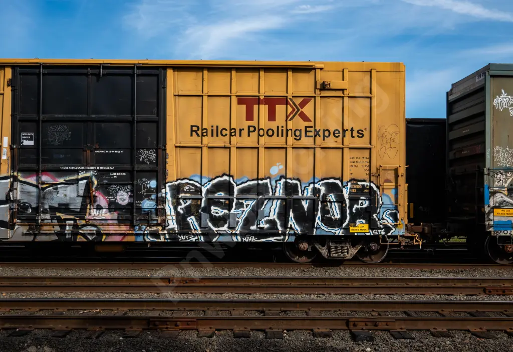 FBOX505515 - NORTH-AMERICA