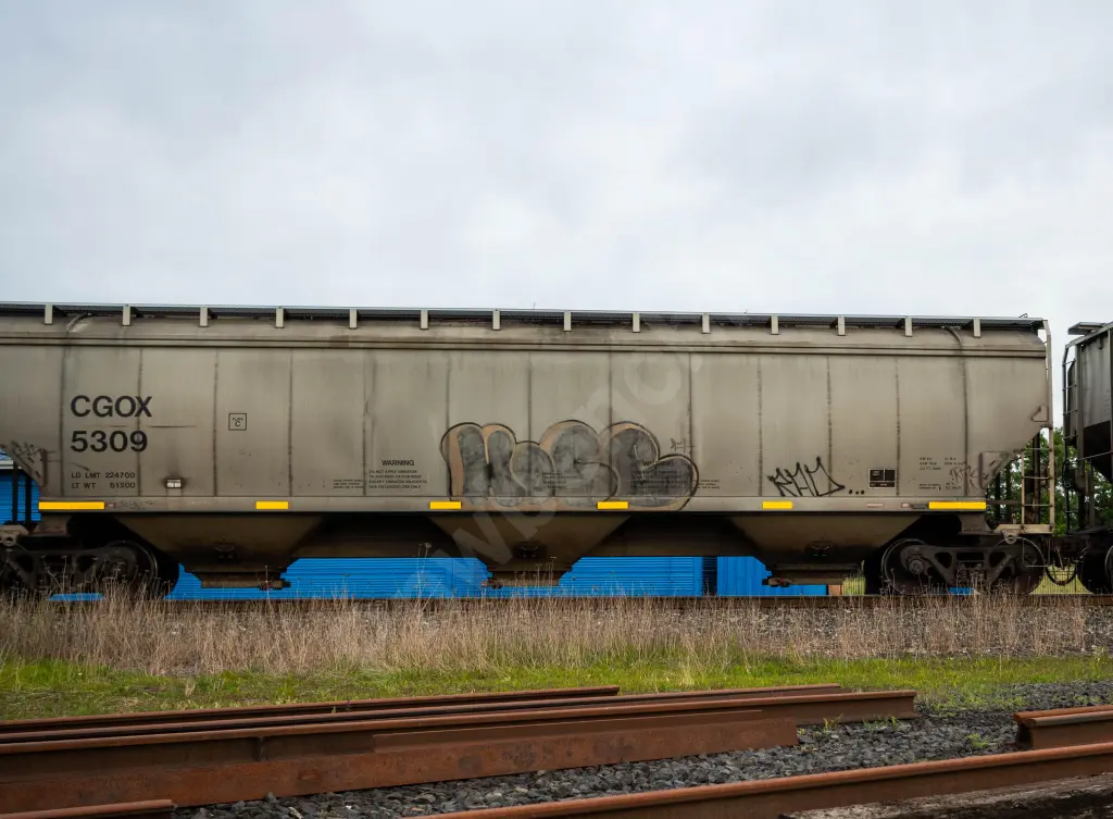 CGOX5309 - NORTH-AMERICA