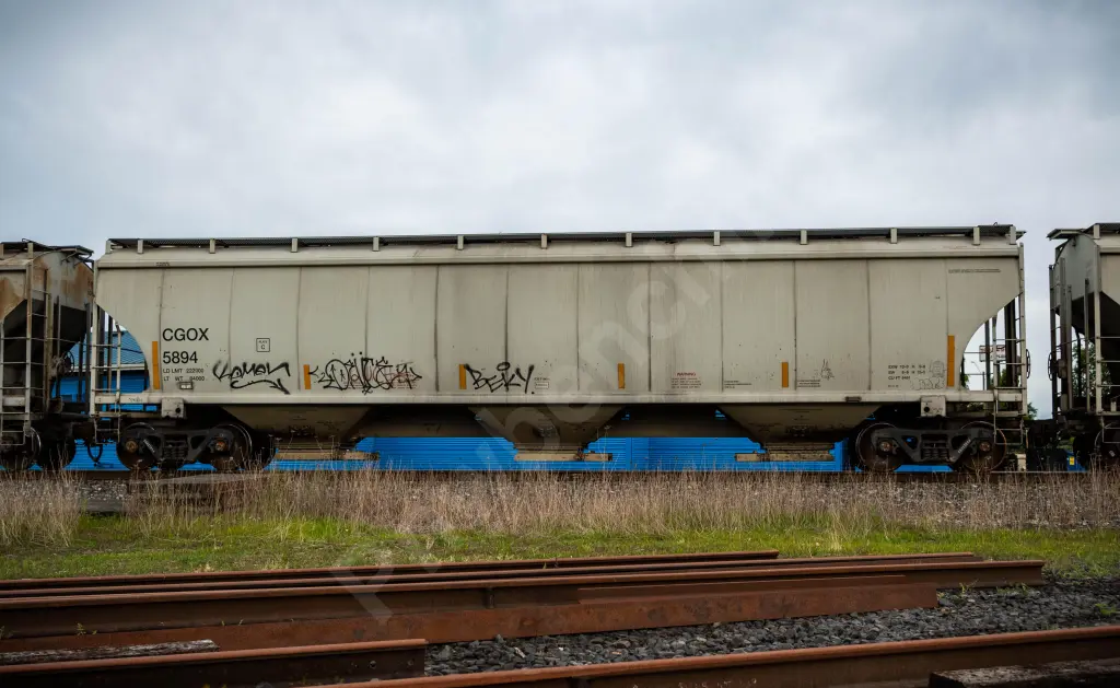 CGOX5894 - NORTH-AMERICA