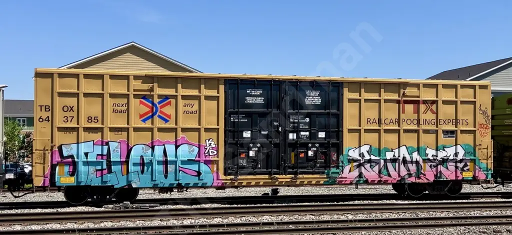 TBOX643785 - NORTH-AMERICA