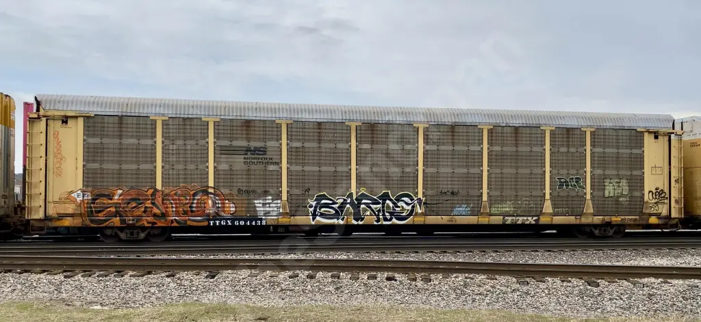 TTGX604438 - NORTH-AMERICA