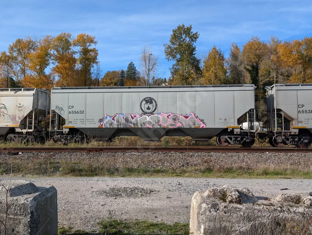 CP655632 - NORTH-AMERICA