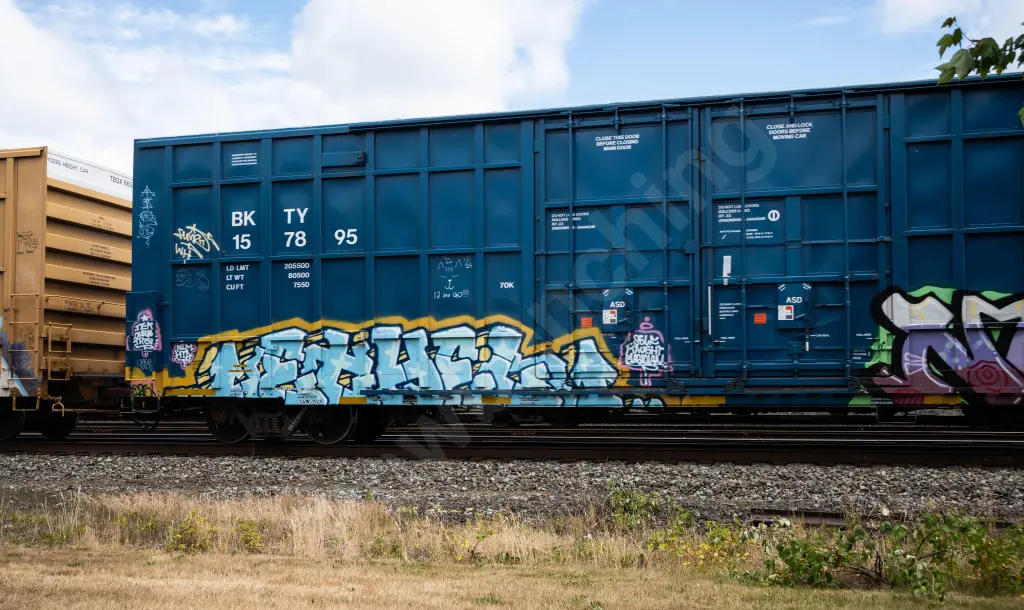 BKTY157895 - NORTH-AMERICA
