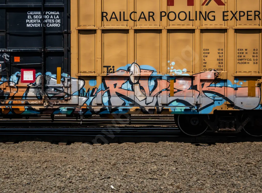 FBOX506578 - NORTH-AMERICA