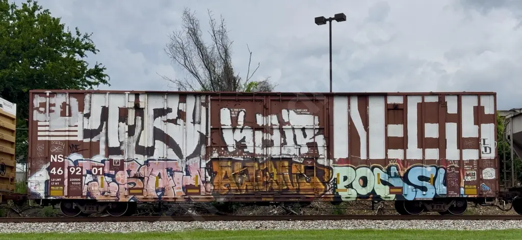 NS469201 - NORTH-AMERICA