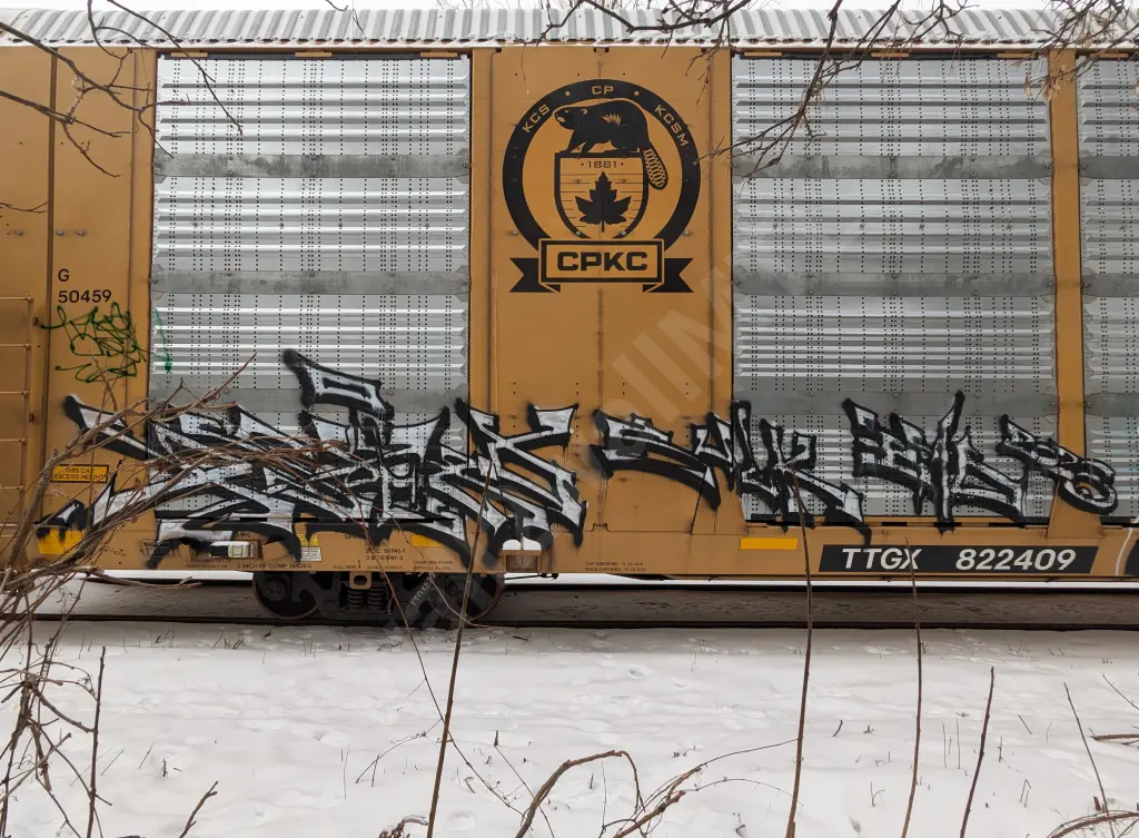 TTGX822409 - NORTH-AMERICA