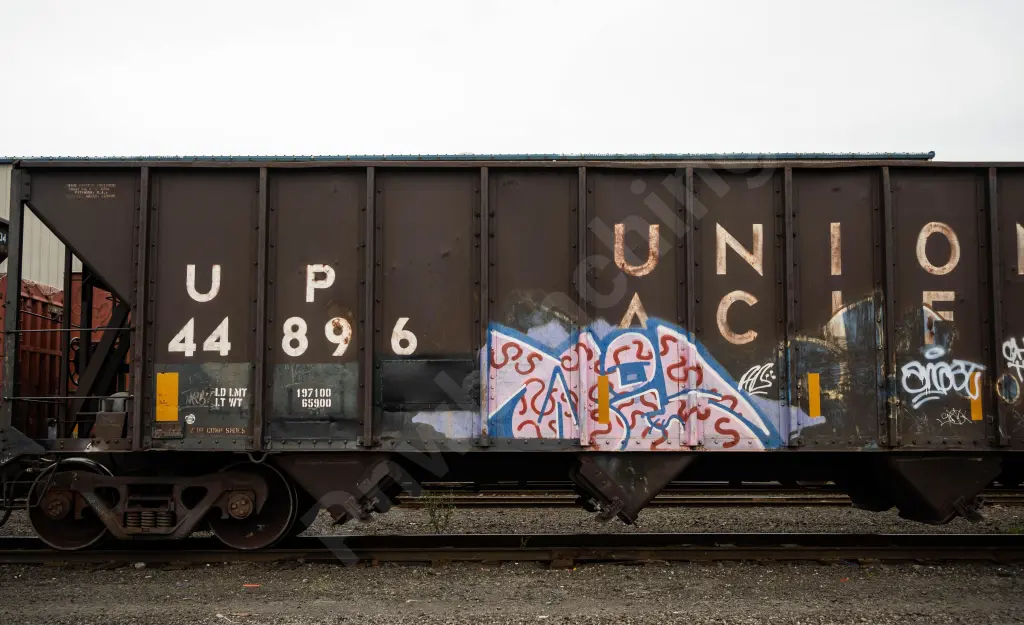 Train photo