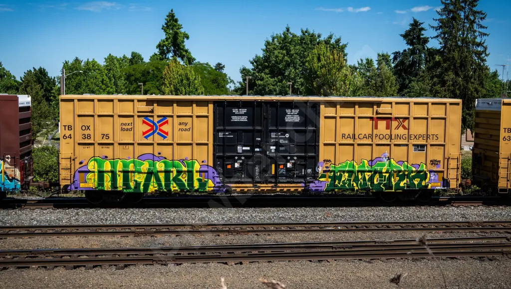 TB0X643875 - NORTH-AMERICA