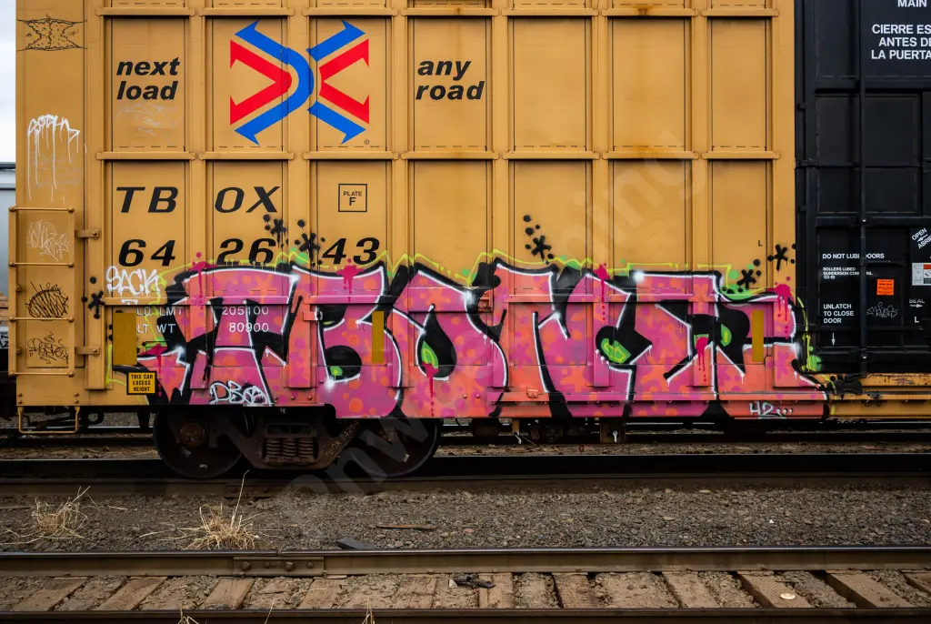 TBOX642643 - NORTH-AMERICA