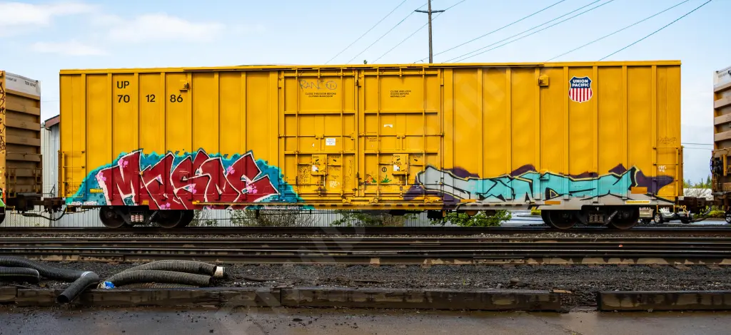 UP701286 - NORTH-AMERICA