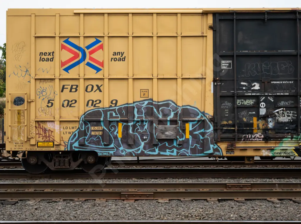 FBOX502029 - NORTH-AMERICA