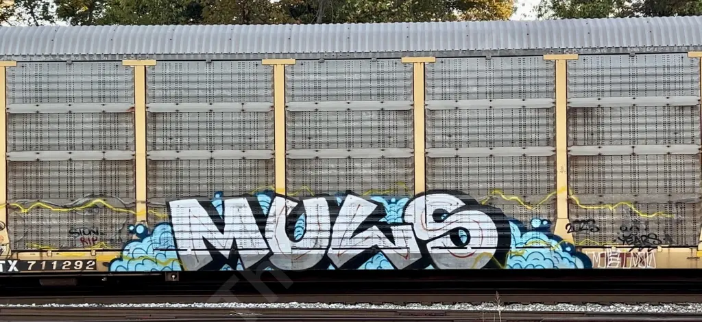 Train photo
