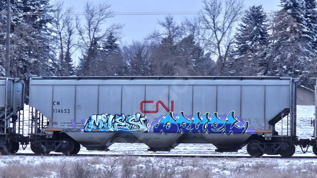 CN114653 - NORTH-AMERICA