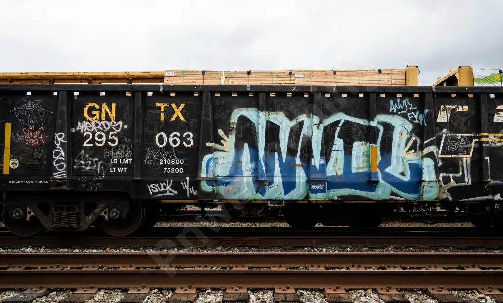 GNTX295063 - NORTH-AMERICA