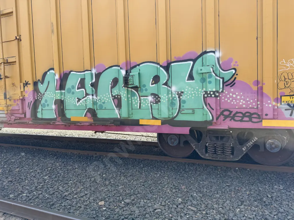 UP700446 - NORTH-AMERICA